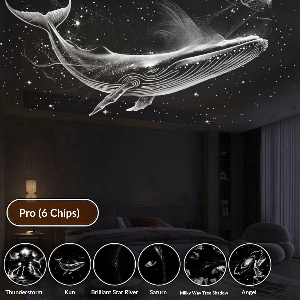 Turn Your Room Into a Living Galaxy