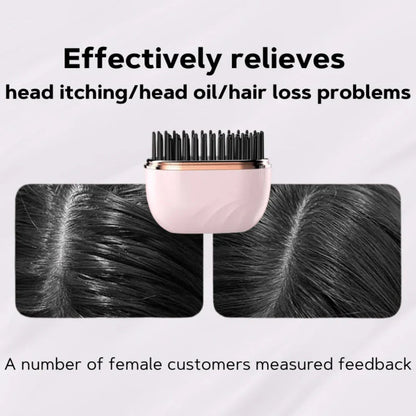 💖 Holiday Frizz-Fighter! Compact Ionic Mini Straightener, Seals in Moisture for Healthy Festive Hair / Stocking Stuffer 🎁