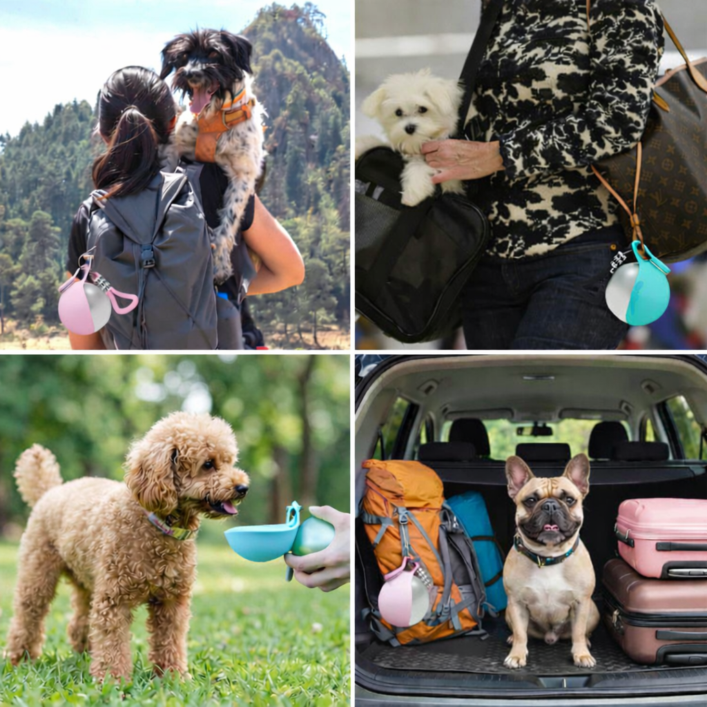 PawHydrate™:Hydrate Your Dog Anywhere, Anytime